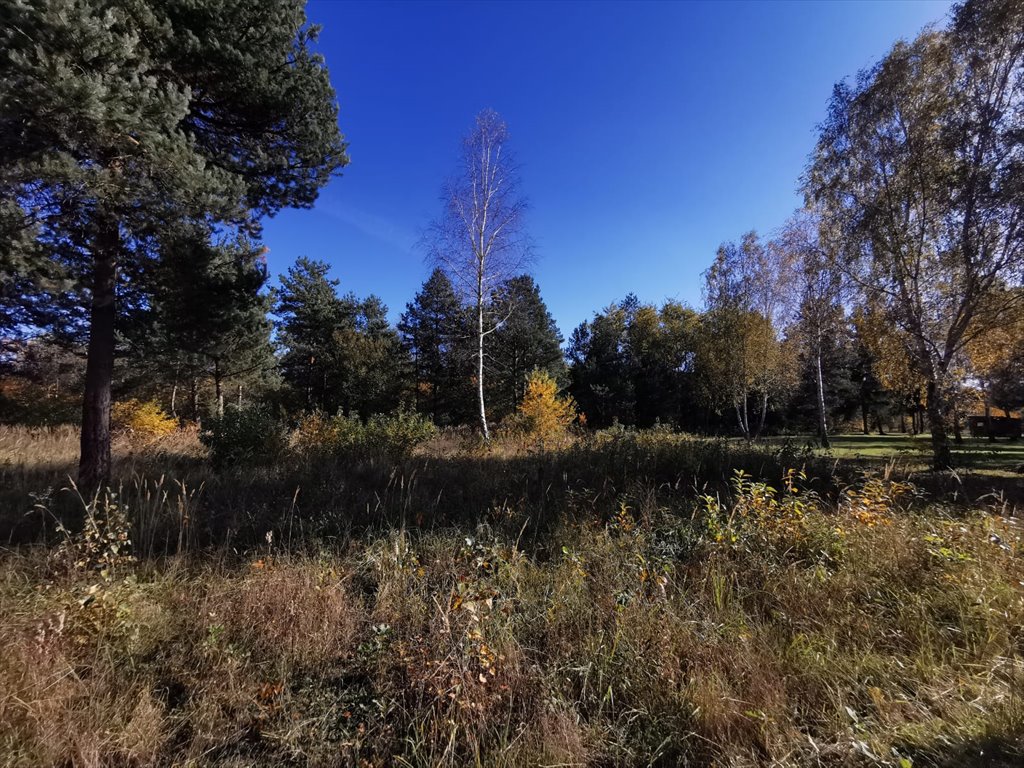 Działka budowlana na sprzedaż Częstochowa, Mirów, Hektarowa  1 089m2 Foto 3