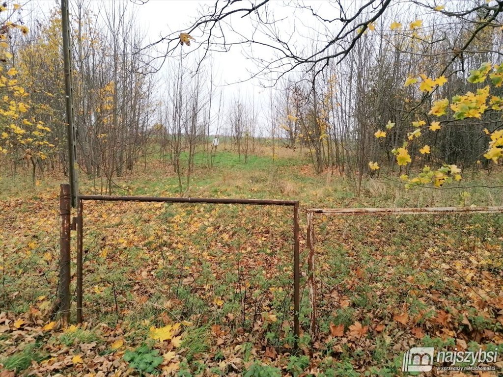 Działka rolna na sprzedaż Brojce, obrzeża  4 100m2 Foto 2