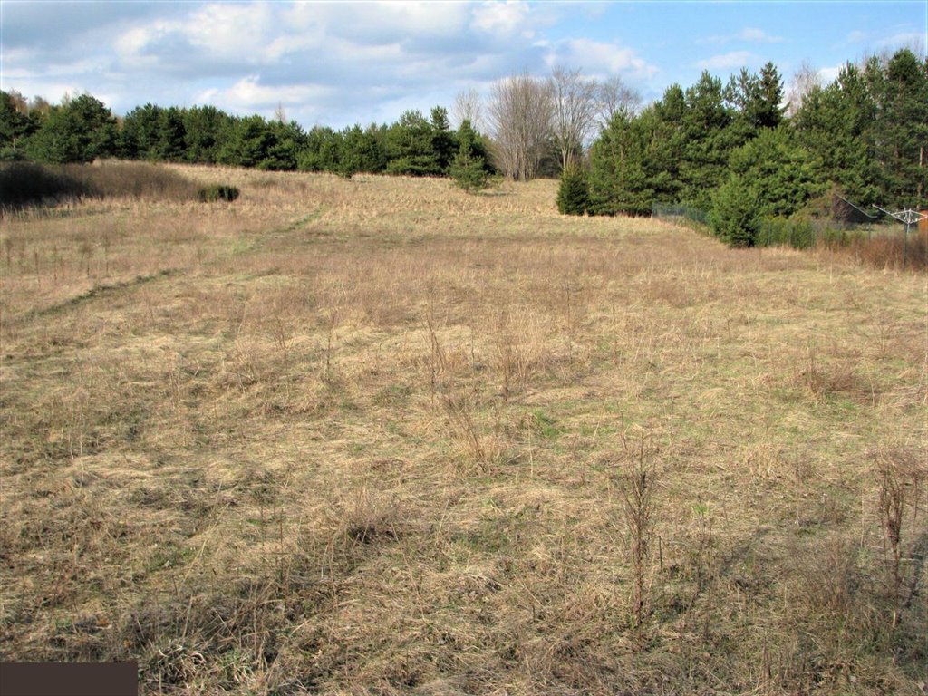 Działka budowlana na sprzedaż Ryczów  801m2 Foto 9