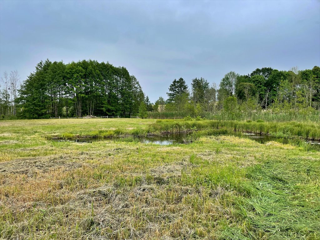 Działka rolna na sprzedaż Elganowo  10 700m2 Foto 14