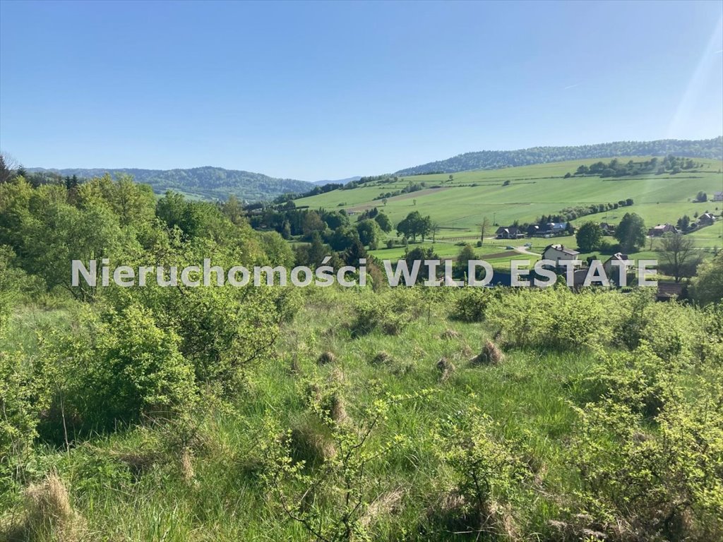 Działka rolna 1,25 ha z widokiem, dostęp przez rzekę Baligród, Mchawa  12 500m2 Foto 1