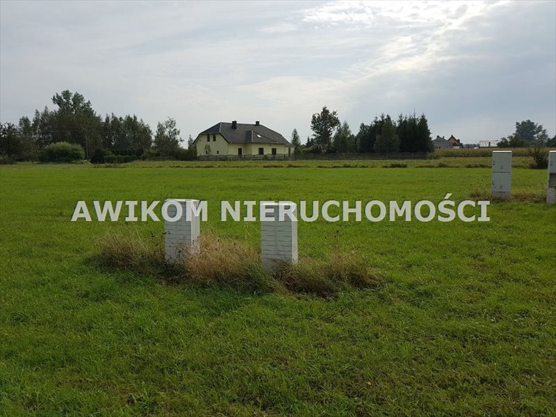 Zdjęcie 5