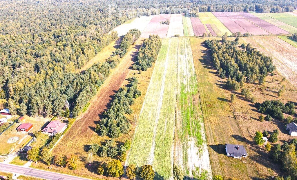 Działka rolna na sprzedaż Kolonia Paplin  13 300m2 Foto 3