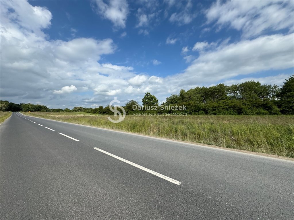 Działka inna na sprzedaż Kołbaskowo  10 000m2 Foto 1