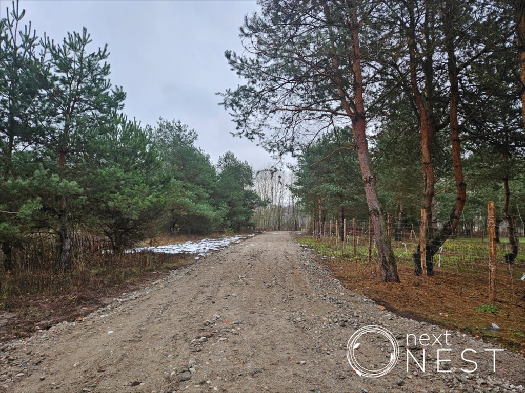 Działka budowlana na sprzedaż Czarny Las  1 000m2 Foto 1