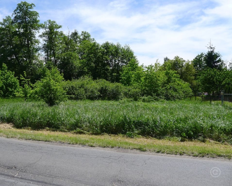 Działka inna na sprzedaż Zgierz, Piaskowice 2 590m2 Foto 1 Działka inna na sprzedaż Zgierz, Piaskowice 2 590m2 Foto 1