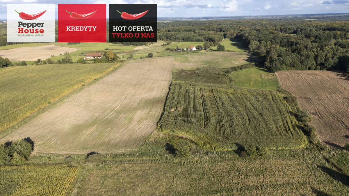 Działka 20 901 m² w Strużynie (warunki na 14 domów) Strużyna  20 901m2 Foto 1