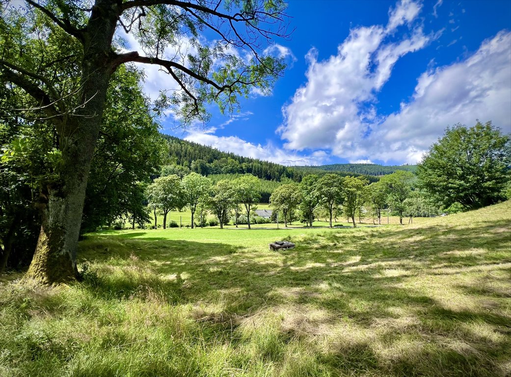 Działka rekreacyjna na sprzedaż Jarkowice  1 600m2 Foto 12