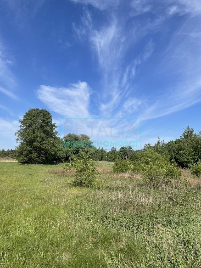 Działka budowlana na sprzedaż Walendów  1 000m2 Foto 1