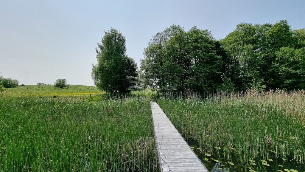 Działka rolna na sprzedaż Cisy  2 000m2 Foto 11