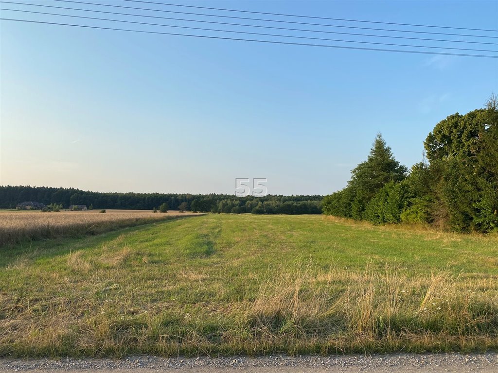 Działka inna na sprzedaż Wronowice  48 000m2 Foto 1