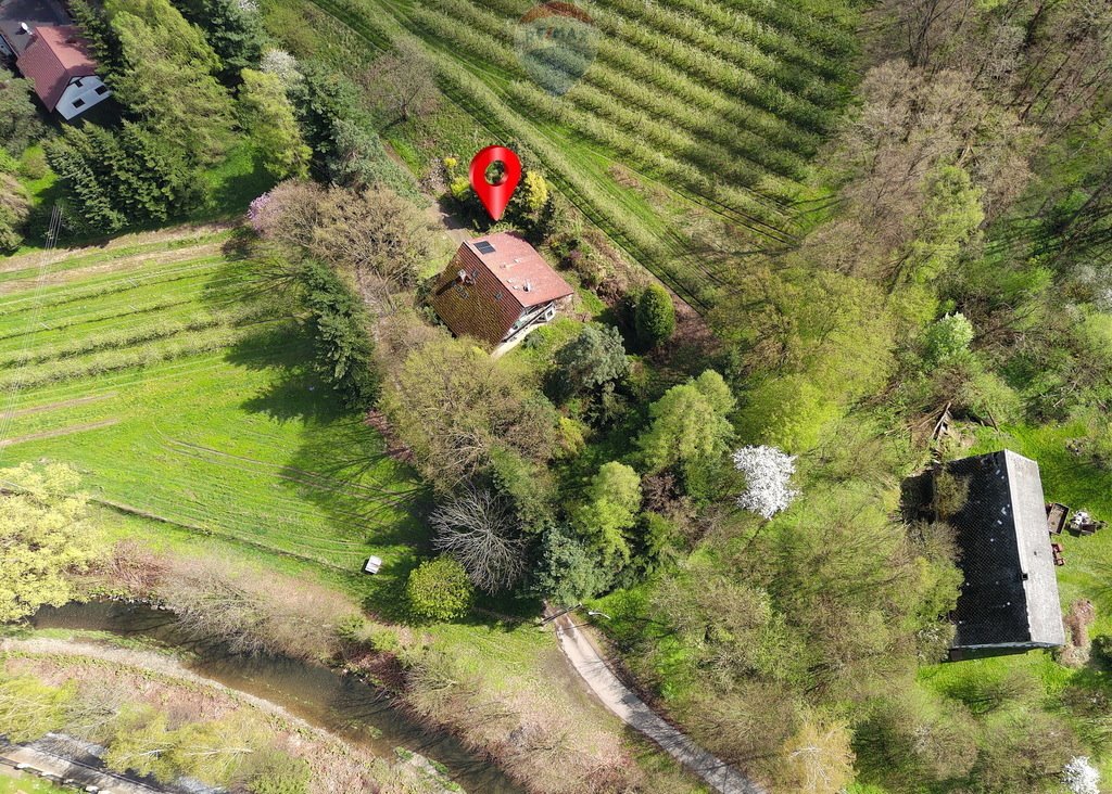 Działka rolna na sprzedaż Międzyrzecze Dolne  92 000m2 Foto 4