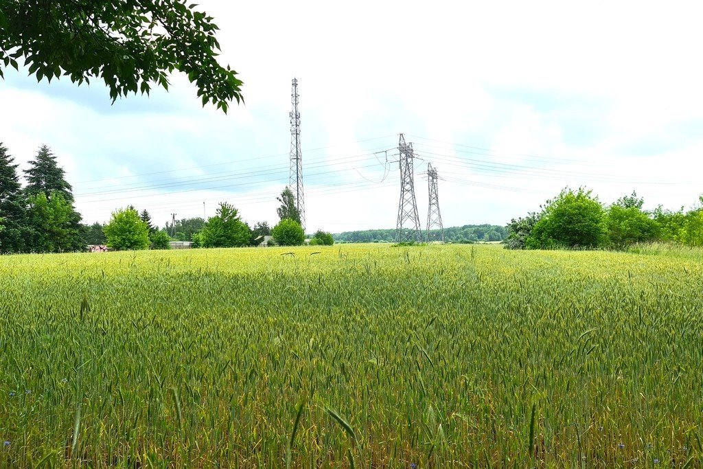 Działka komercyjna na sprzedaż Międzyrzec Podlaski, Brzeska  24 800m2 Foto 2