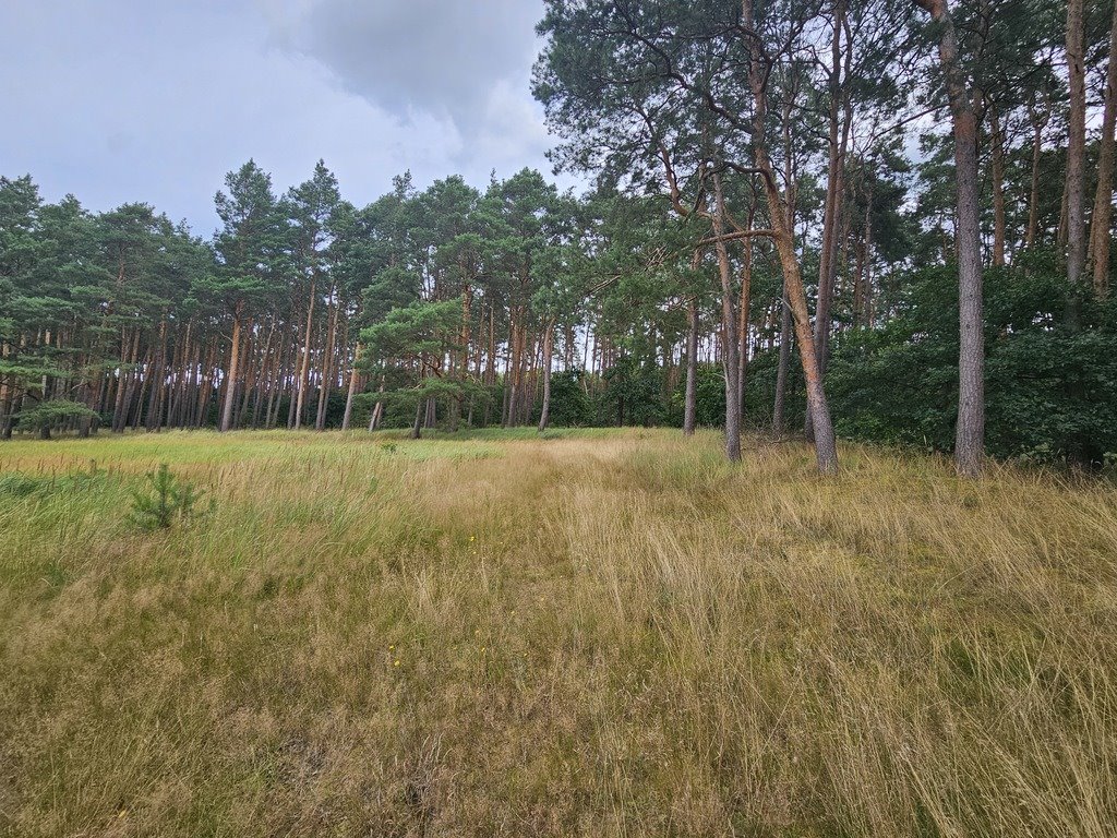 Działka budowlana na sprzedaż Murzynowo  498m2 Foto 2