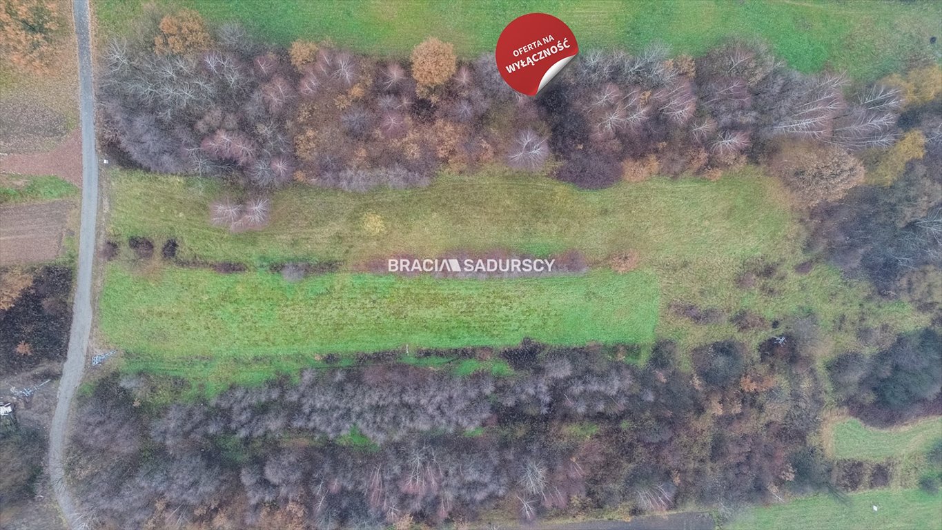 Działka budowlana na sprzedaż Podstolice  3 600m2 Foto 11