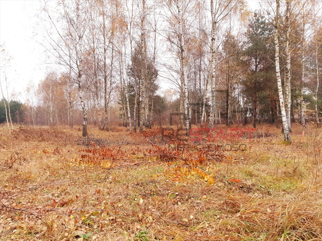 Działka budowlana na sprzedaż Osowiec  1 230m2 Foto 9