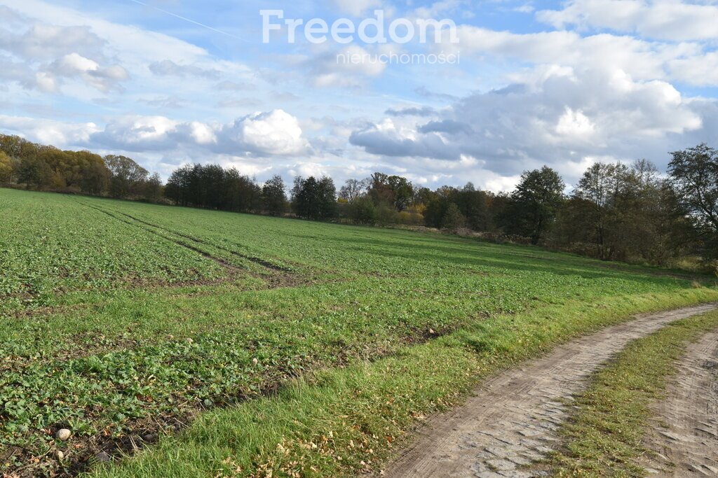Działka inna na sprzedaż Namysłów  16 000m2 Foto 1