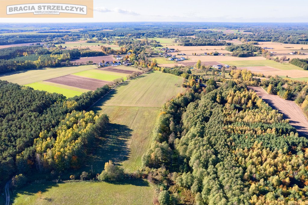 Działka budowlana na sprzedaż Gutarzewo  45 500m2 Foto 5