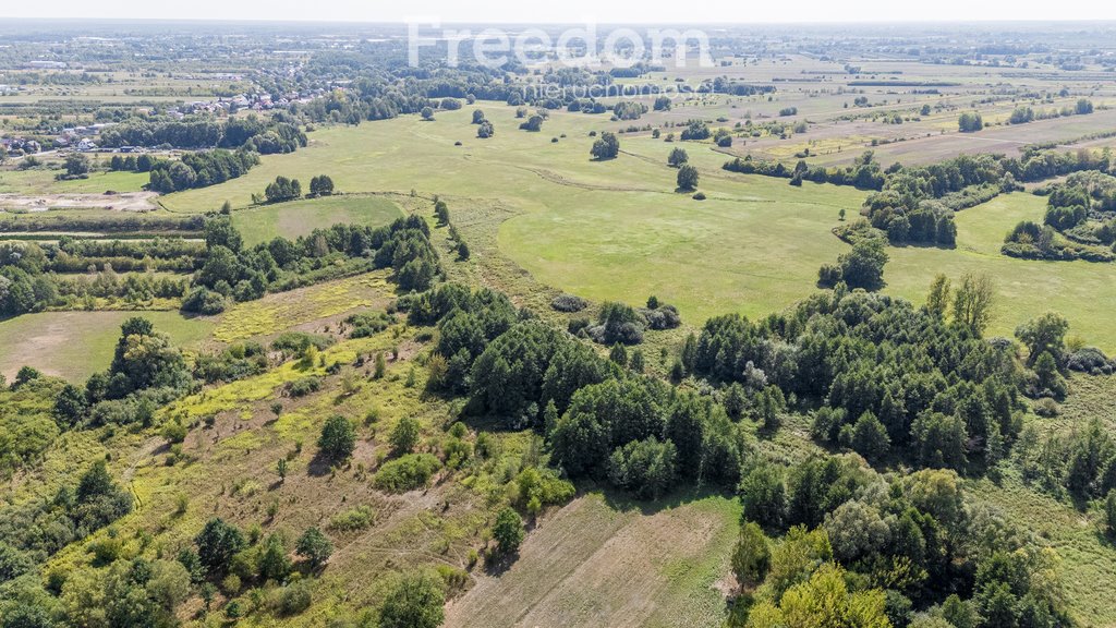 Działka rolna na sprzedaż Ostrówiec  3 924m2 Foto 6