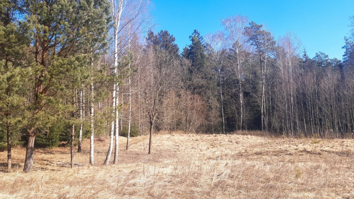 Działka budowlana na sprzedaż Mołowiste  1 050m2 Foto 5