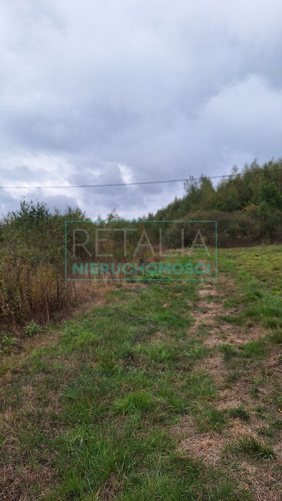 Działka 10 300 m2 z możliwością podziału i pełnym uzbrojeniem Bieganów  10 300m2 Foto 1