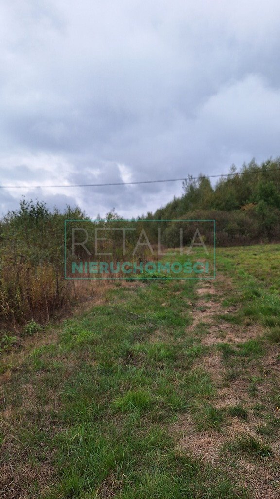 Działka budowlana na sprzedaż Bieganów  37 900m2 Foto 1