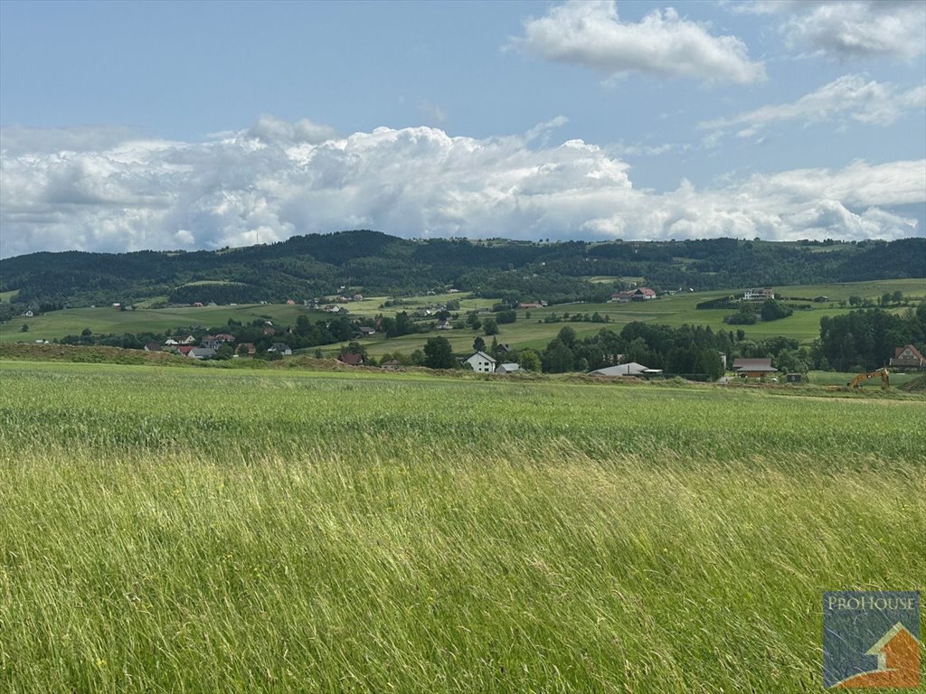 Polecam działkę 1200 m² z możliwością zabudowy w Męcinie Męcina  1 200m2 Foto 1