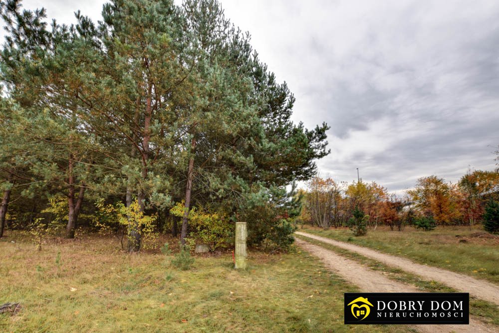 Działka pod dom z dostępem do rzeczki i lasu (43 zł/m²) Siemiatycze  4 620m2 Foto 1