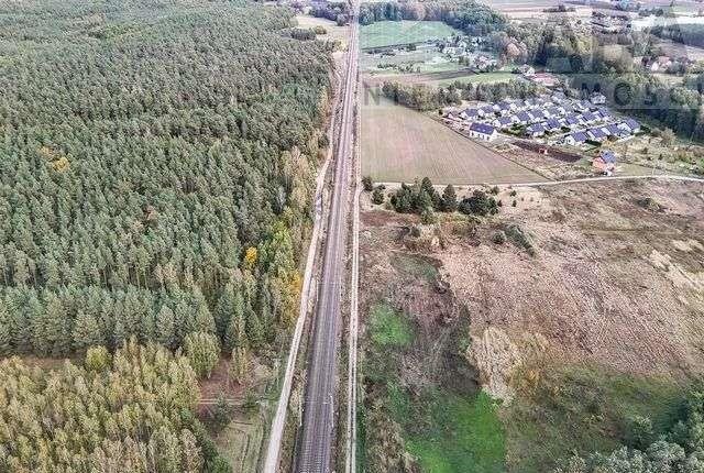 Działka budowlana na sprzedaż Golina-Kolonia  7 200m2 Foto 3