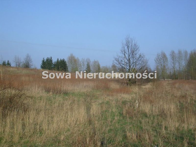 Działka inwestycyjna na sprzedaż Wałbrzych, Biały Kamień 7 800m2 Foto 1 Działka inwestycyjna na sprzedaż Wałbrzych, Biały Kamień 7 800m2 Foto 1