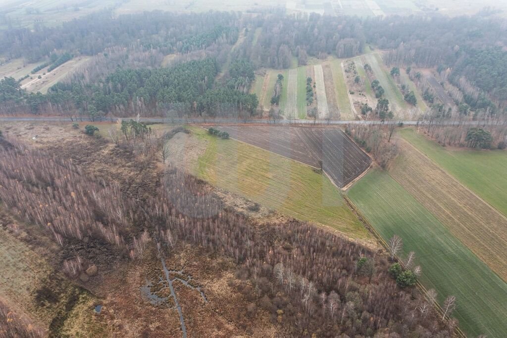 Działka komercyjna na sprzedaż Ręczaje Polskie  23 700m2 Foto 10