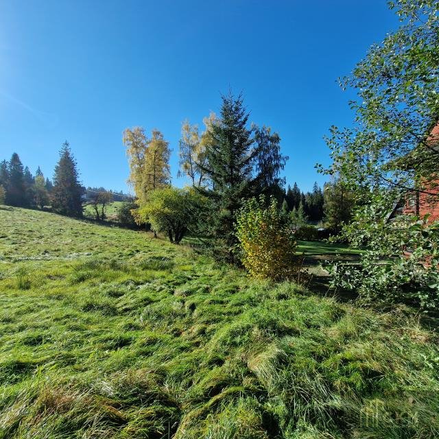 Działka budowlana na sprzedaż Bukowina Tatrzańska, Tatrzańska  4 300m2 Foto 11