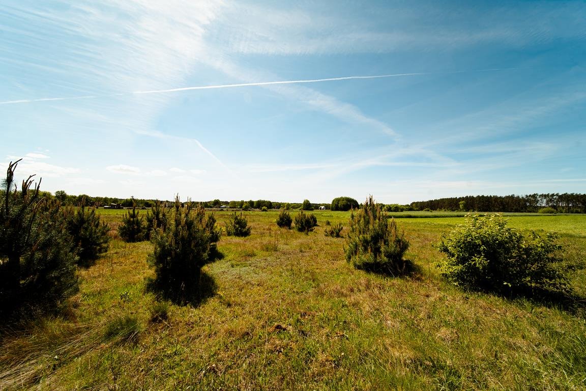 Atrakcyjna działka 1346 m² w Puszczy Noteckiej - polecam Kamiennik, Atrakcyjna działka w Puszczy Noteckiej  1 346m2 Foto 1