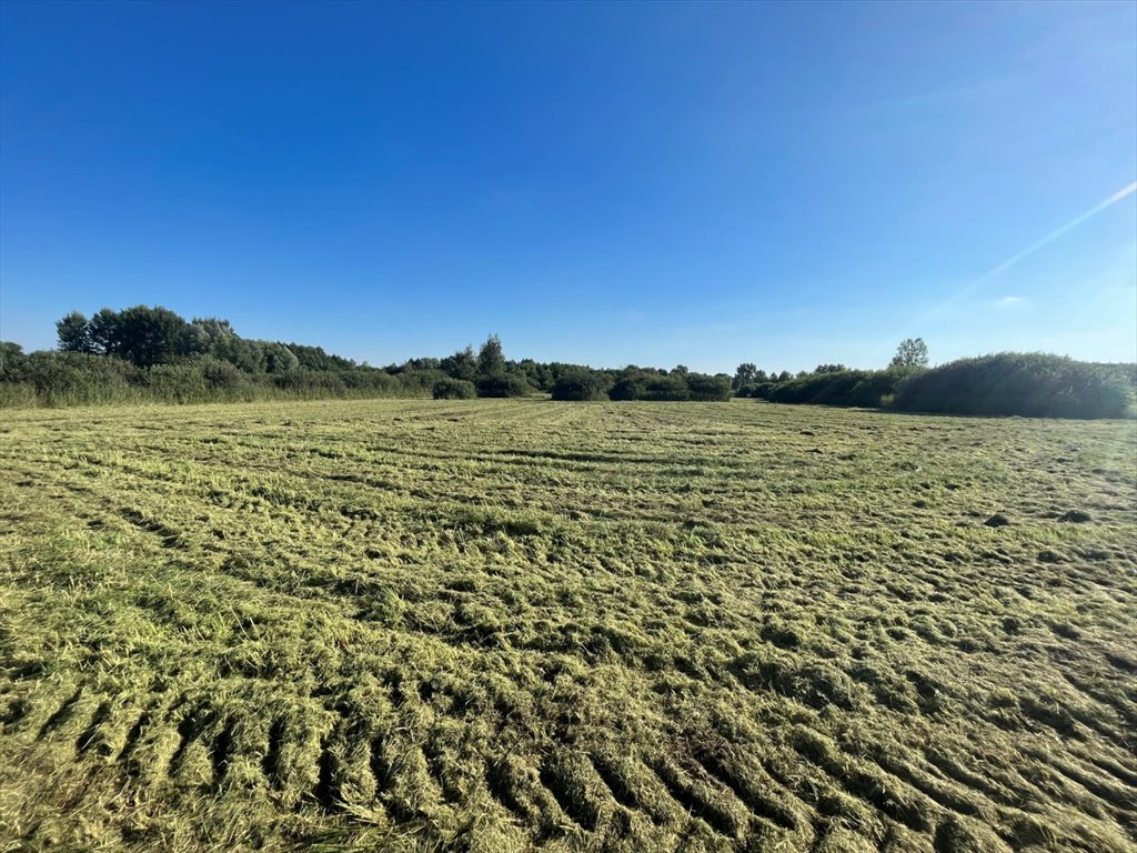 Działka rolna na sprzedaż Siedliszcze  74 700m2 Foto 1