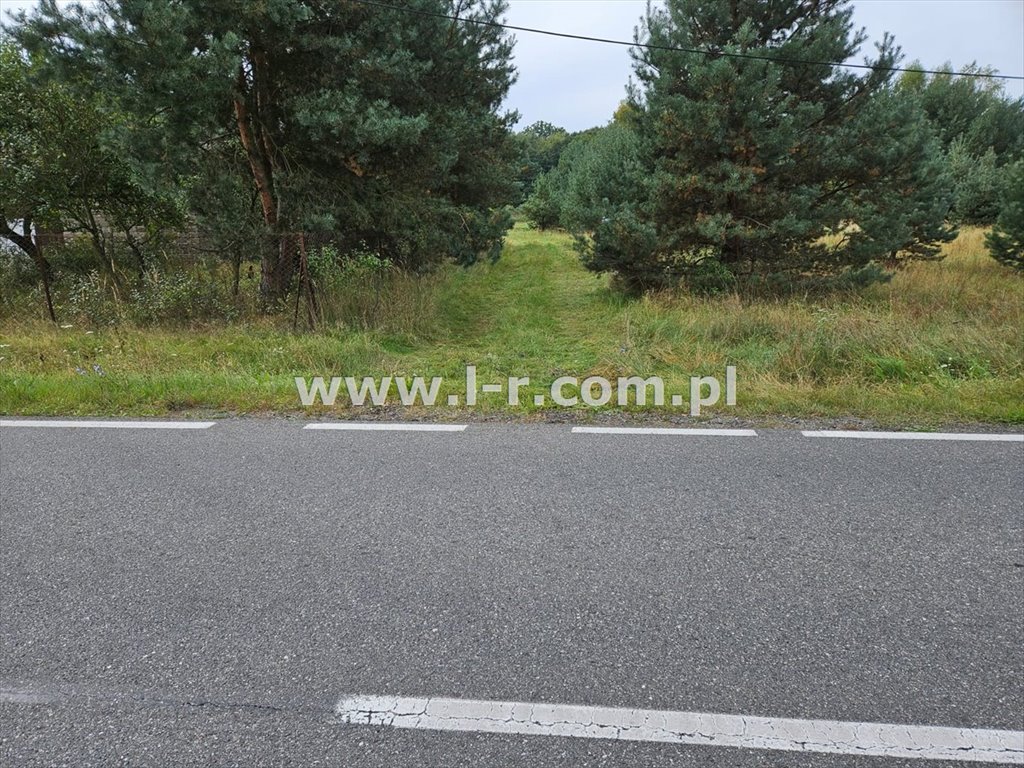 Działka leśna na sprzedaż Sumina, Dworcowa  6 820m2 Foto 5