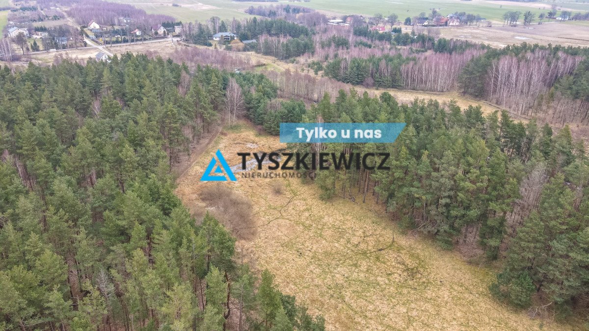 Działka budowlana na sprzedaż Gołębiewo Wielkie, Maciejki  7 500m2 Foto 1