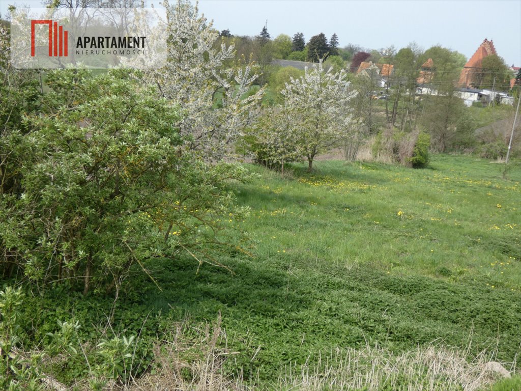 Działka budowlana na sprzedaż Gębice  4 500m2 Foto 3