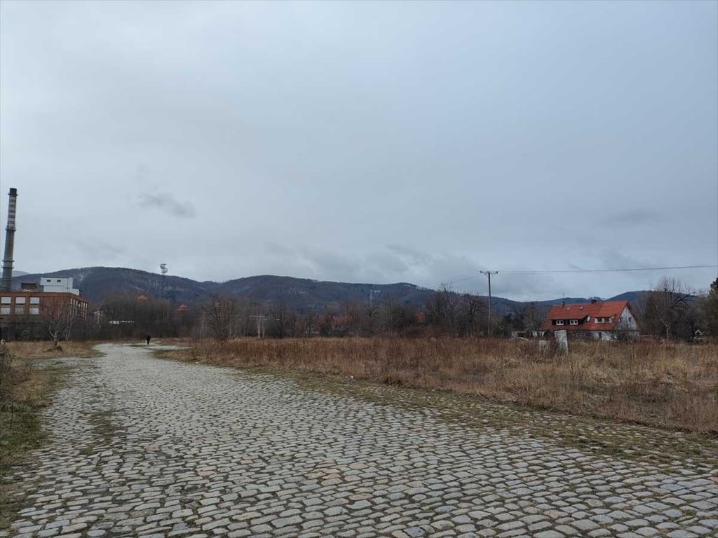 Działka inna na sprzedaż Bielawa  3 000m2 Foto 1