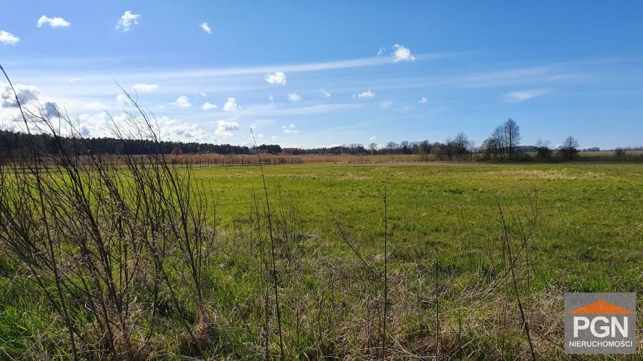 Polecam dużą działkę 8300 m² z możliwością podziału w Pobierowie POBIEROWO OKOLICA  8 300m2 Foto 1