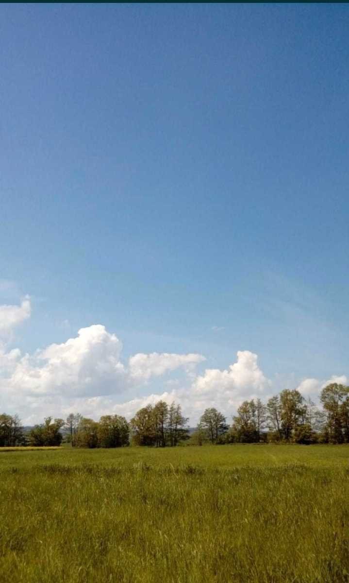 Działka 4800 m² z widokiem na góry i pola, media, asfalt Pieszyce, Piskorzów  4 800m2 Foto 1