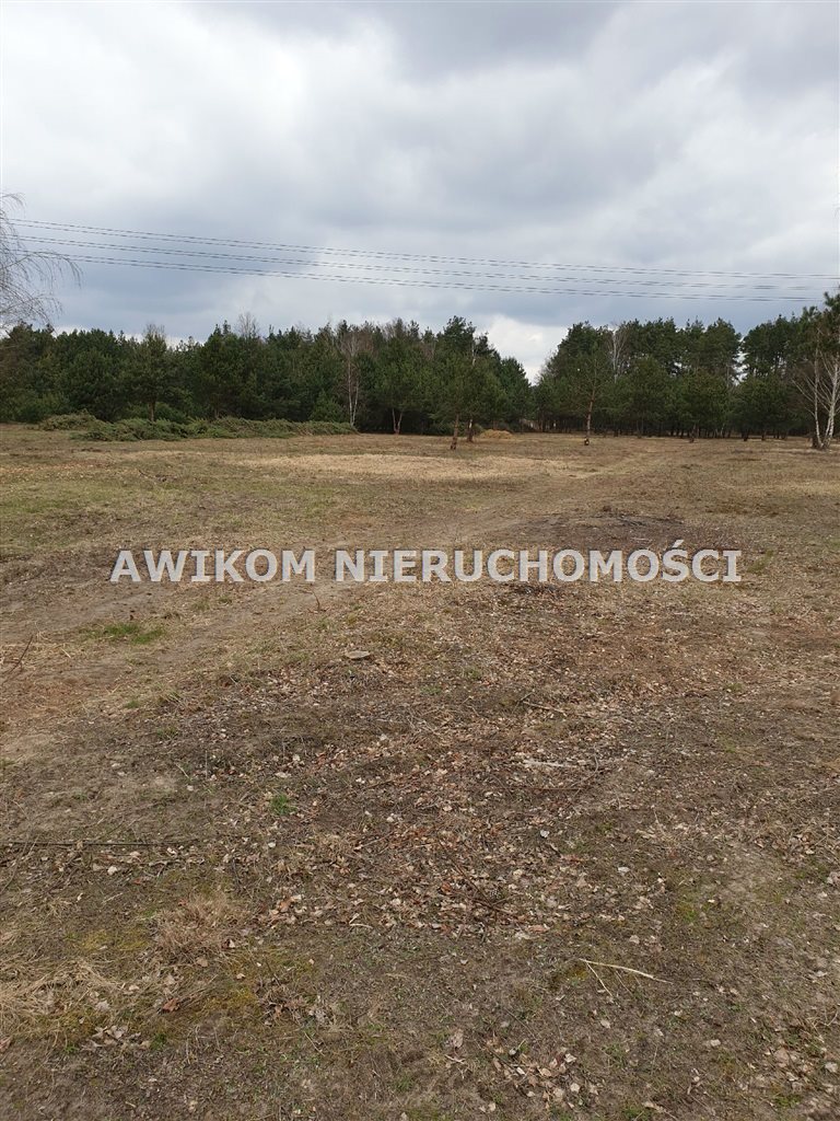 Działka budowlana na sprzedaż Żabia Wola  11 318m2 Foto 8