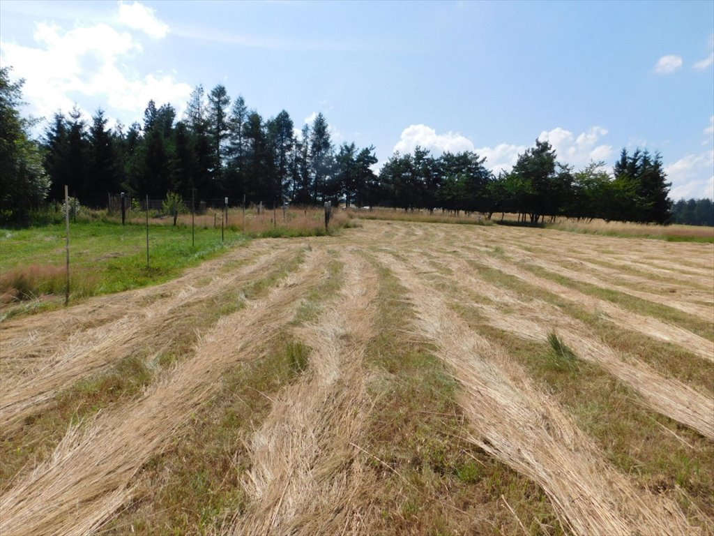 Działka budowlana na sprzedaż Duszniki-Zdrój  2 622m2 Foto 5