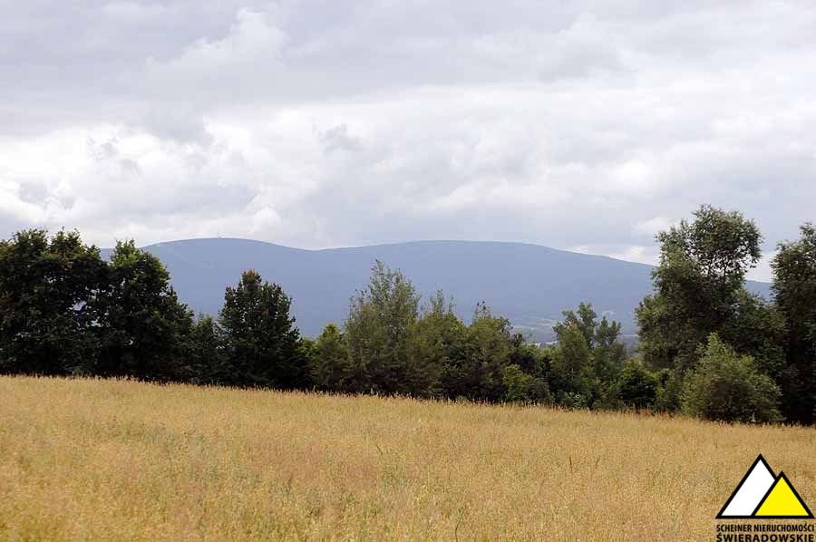 Działka budowlana na sprzedaż Brzeziniec  1 500m2 Foto 6