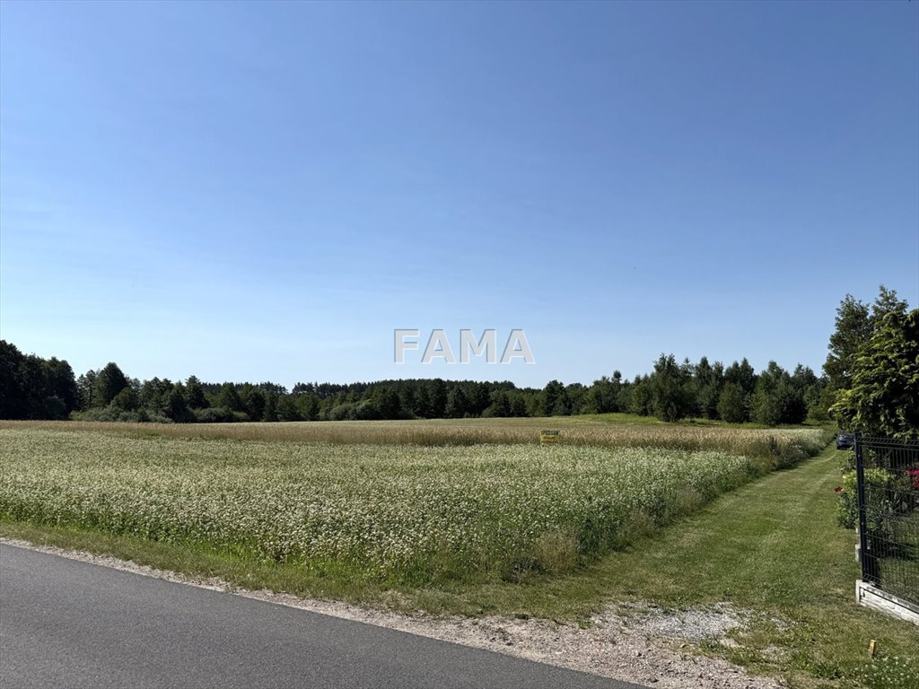 Sprzedam działkę 2900 m² z mediami i warunkami zabudowy Cyprianka  2 838m2 Foto 1