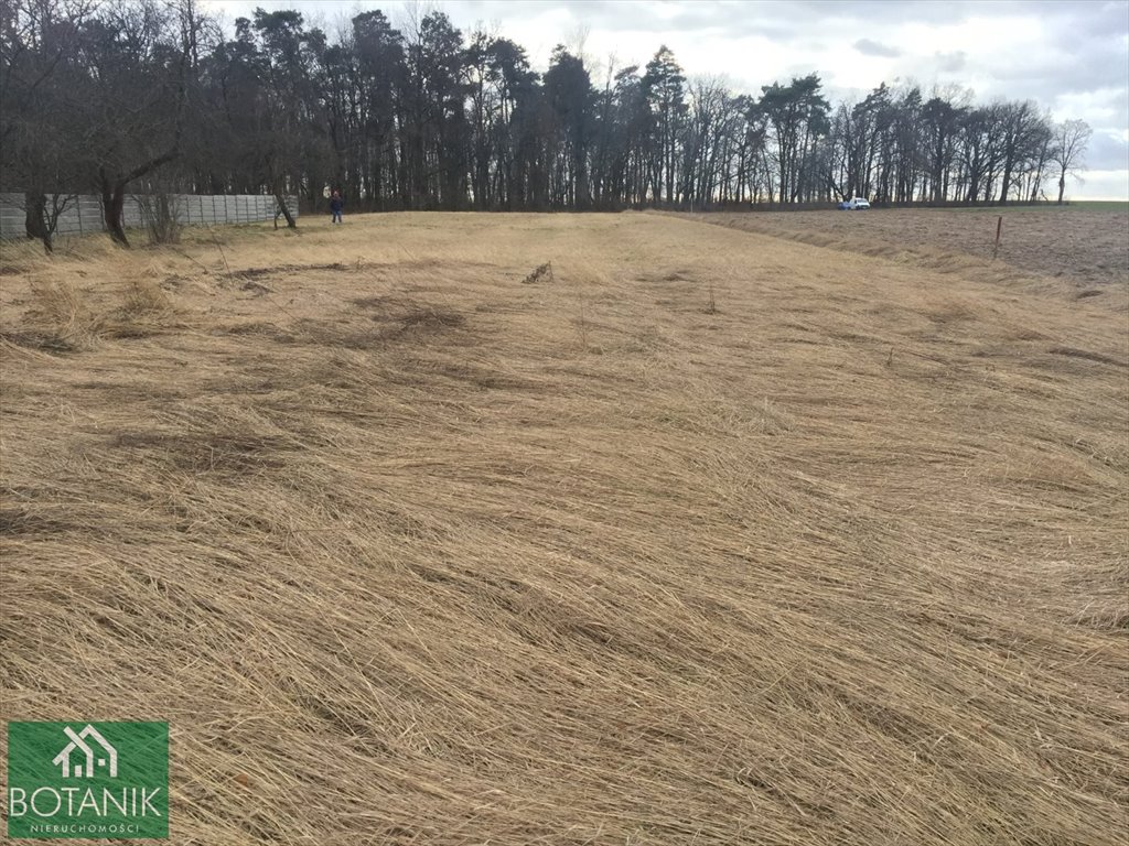 Działka budowlana na sprzedaż Kazimierzówka  950m2 Foto 2