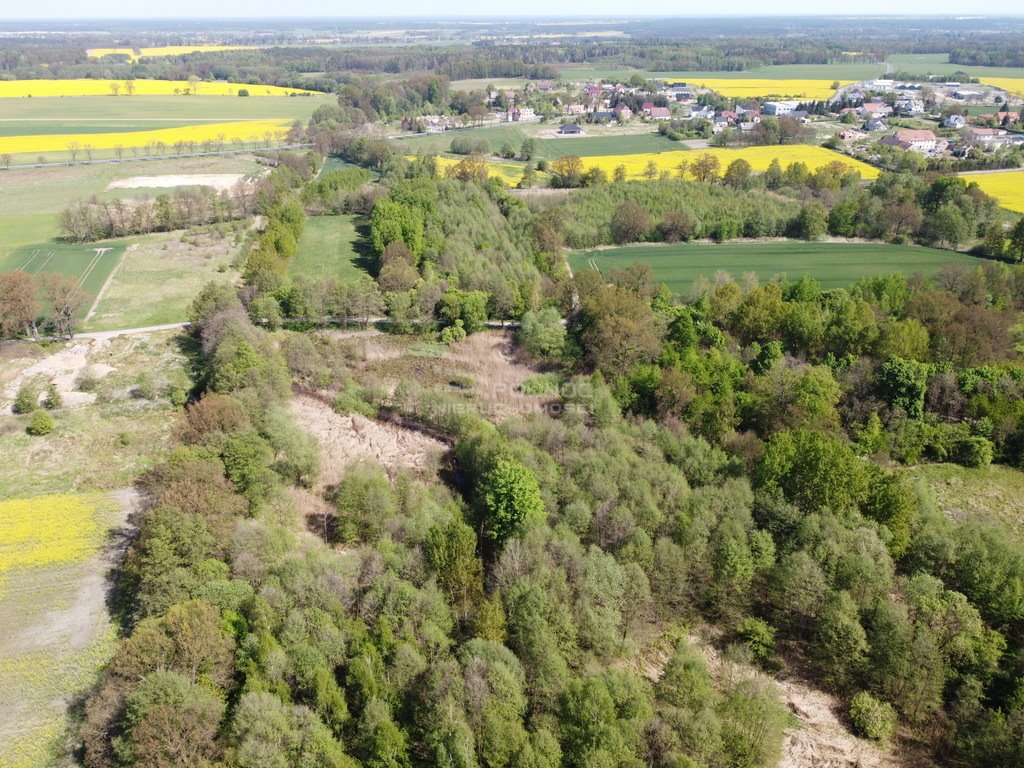 Działka inna na sprzedaż Kruszyn  26 000m2 Foto 5