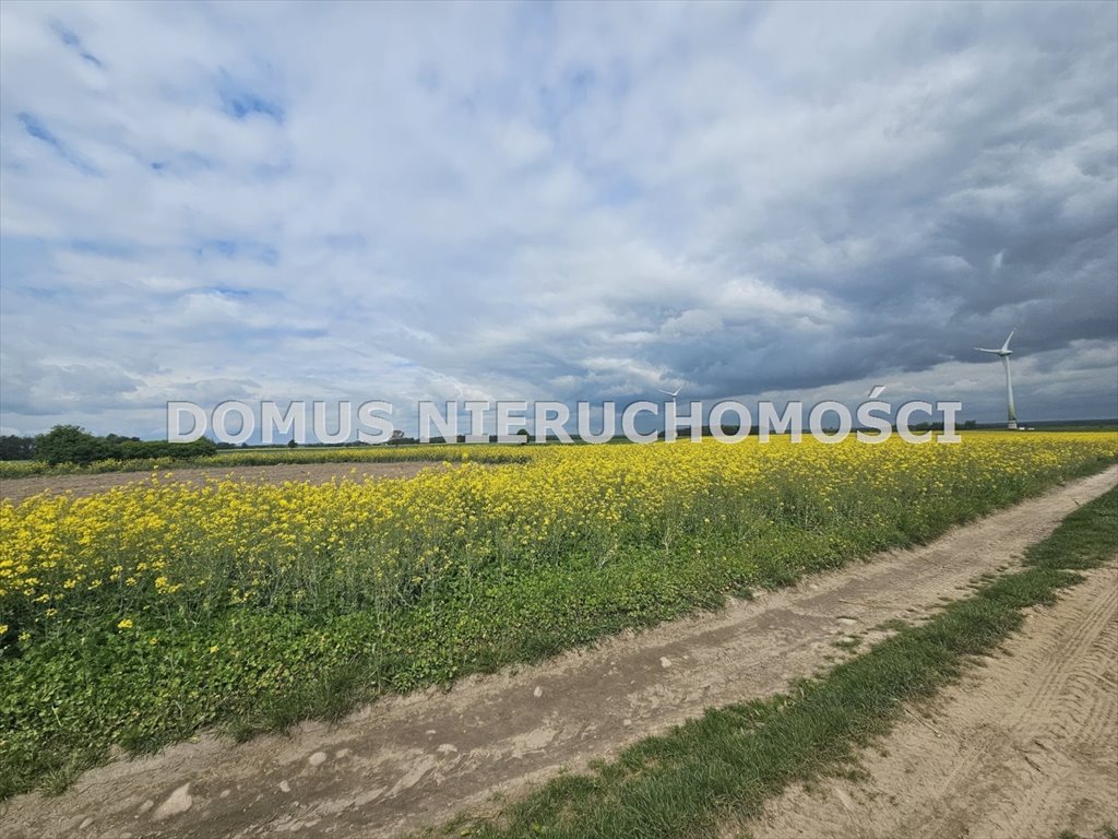 Działka rolna 67 765 m² z możliwością zabudowy w Stefanowie Stefanów  67 765m2 Foto 1