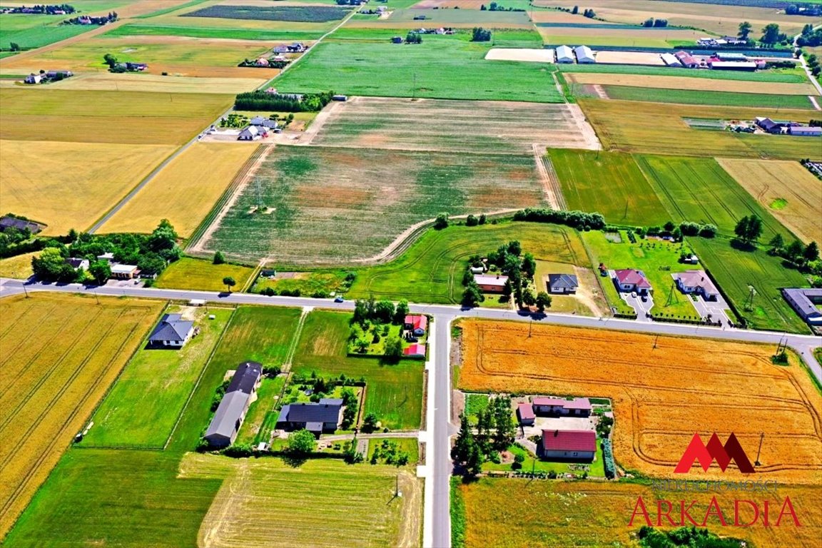 Działka rolna na sprzedaż Chełmica Duża  5 000m2 Foto 5