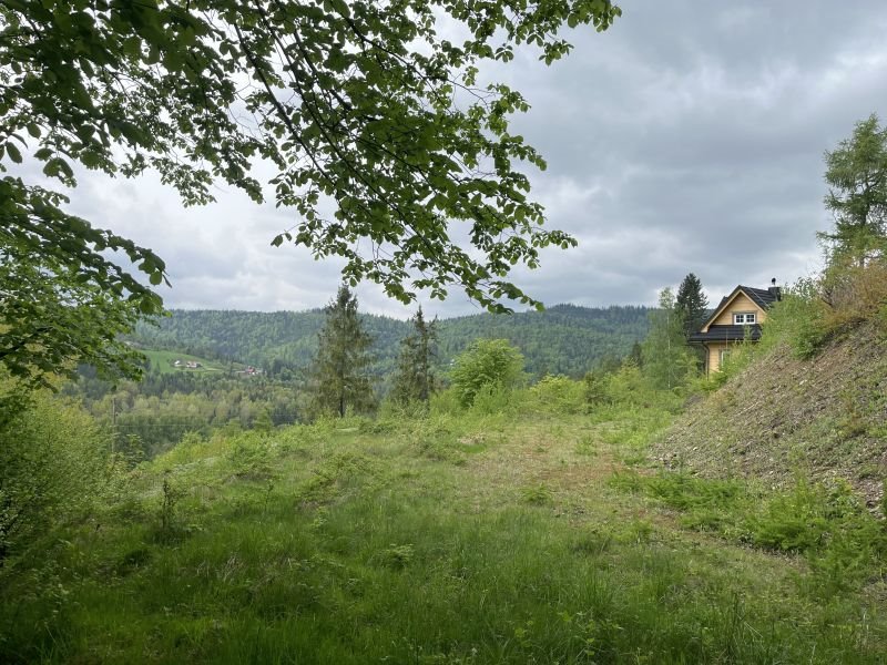 Działka budowlana na sprzedaż Wisła, Wisła  1 408m2 Foto 1