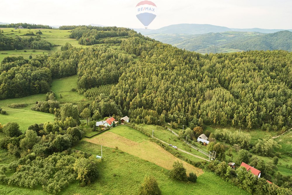 Działka budowlana na sprzedaż Ochotnica Dolna  4 383m2 Foto 13